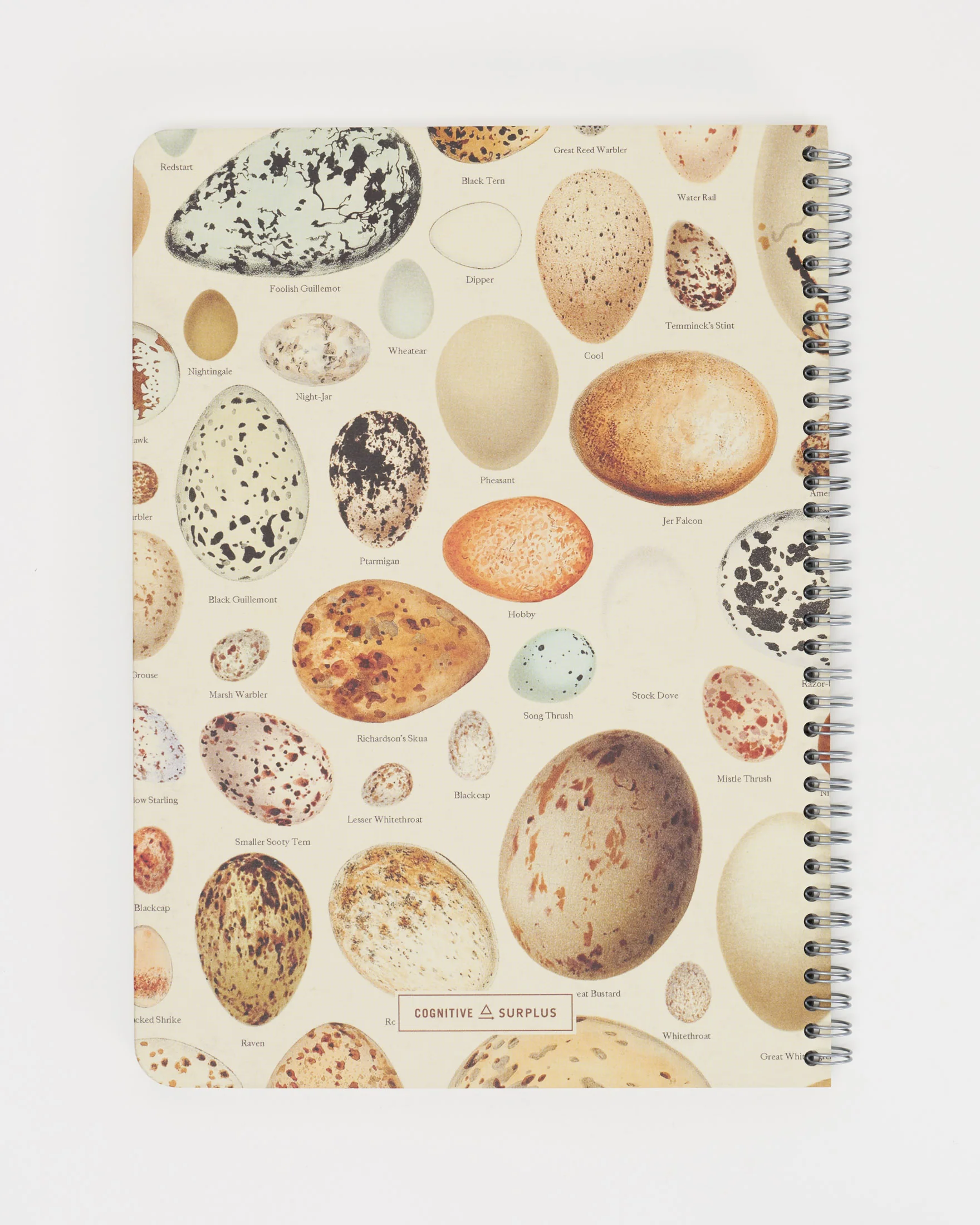 Bird Eggs Spiral Notebook - Lined - Image 2