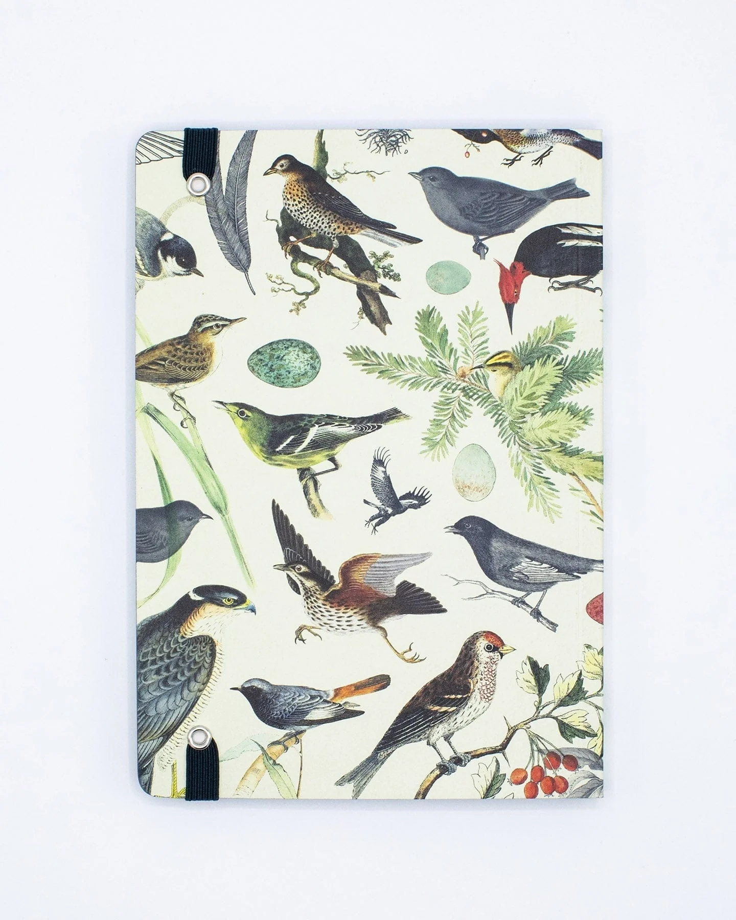 Birds & Feathers A5 Softcover Notebook - Image 3
