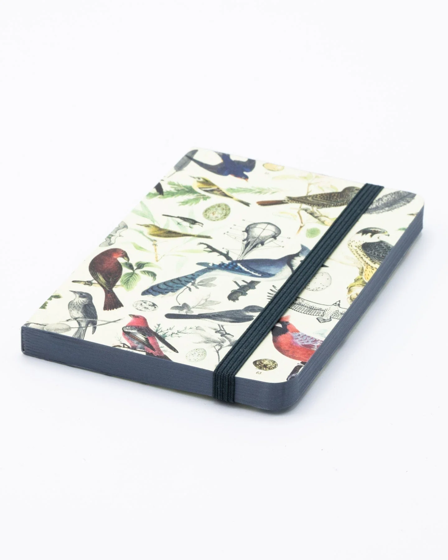 Birds & Feathers Observation Softcover - Image 2