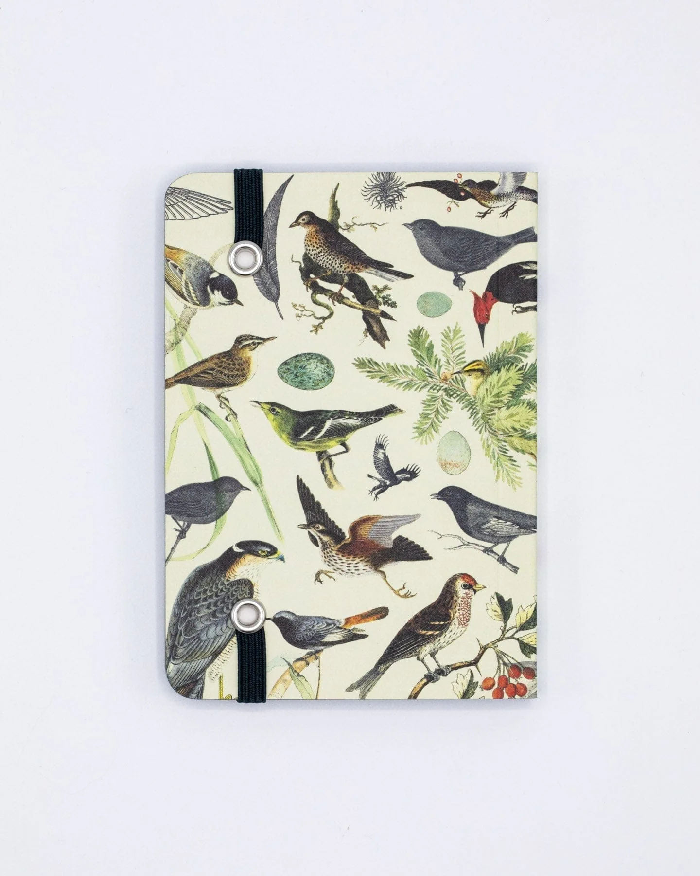 Birds & Feathers Observation Softcover - Image 3