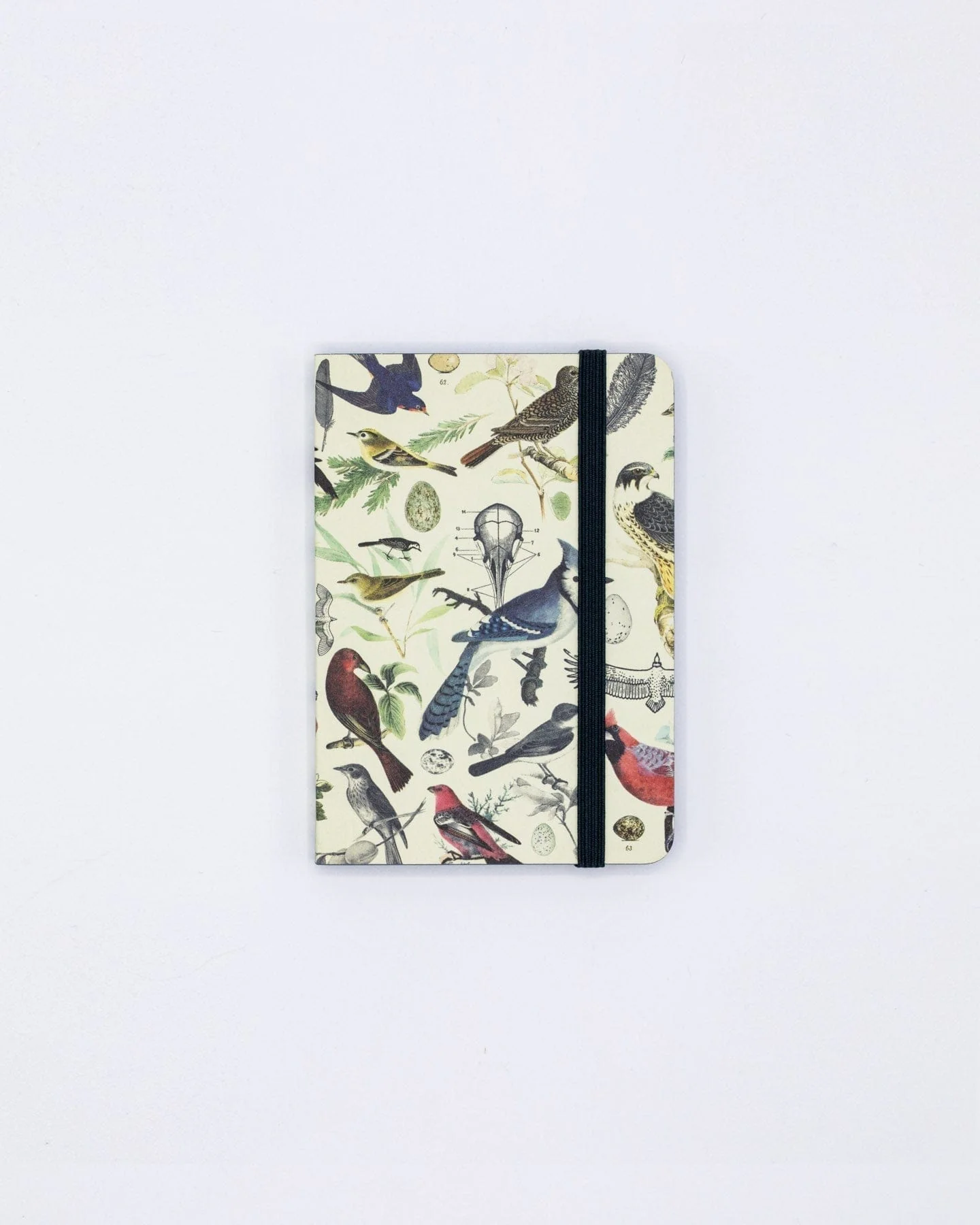 Birds & Feathers Observation Softcover - Image 4