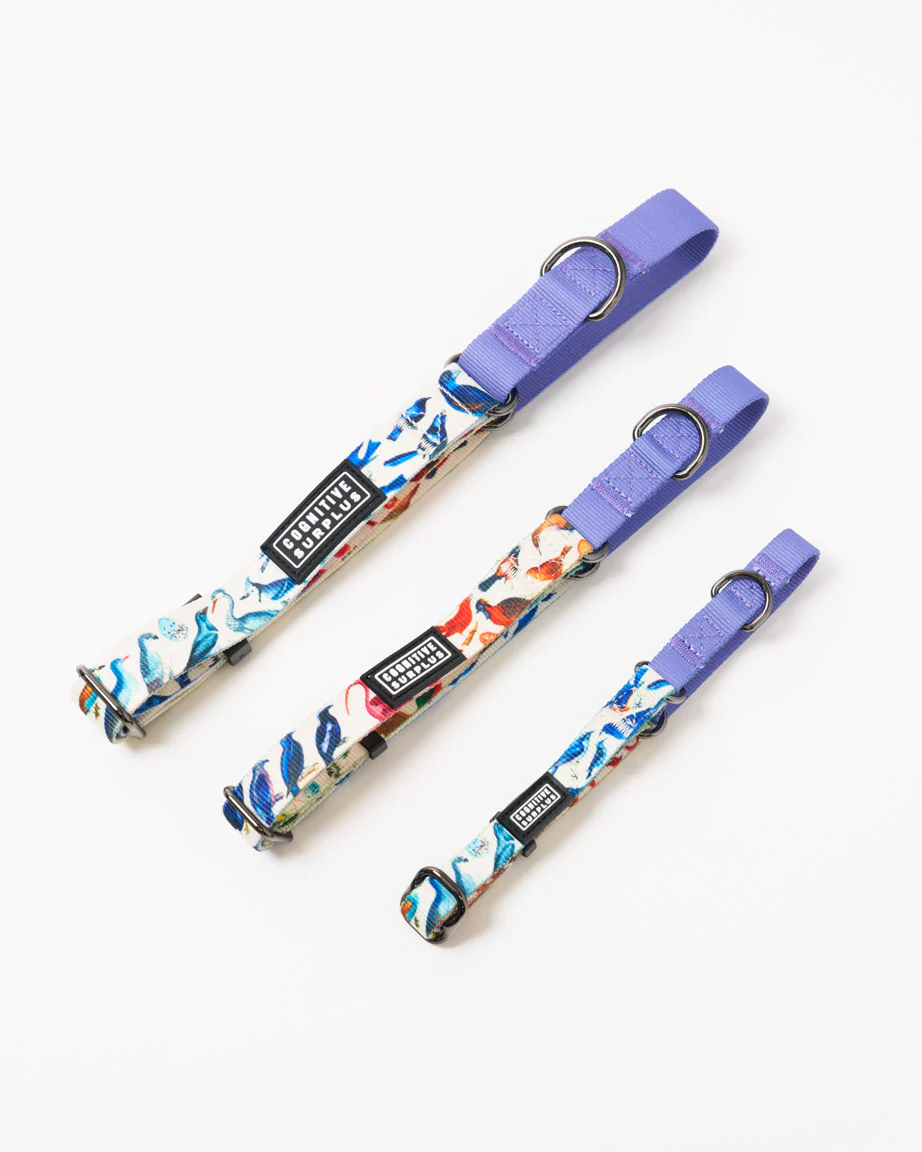 Birds Eco Martingale Collar - Image 2