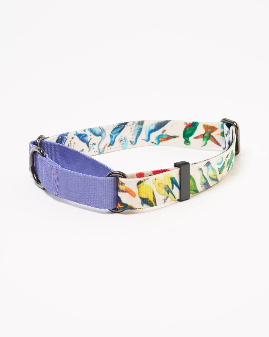 Birds Eco Martingale Collar - Image 3