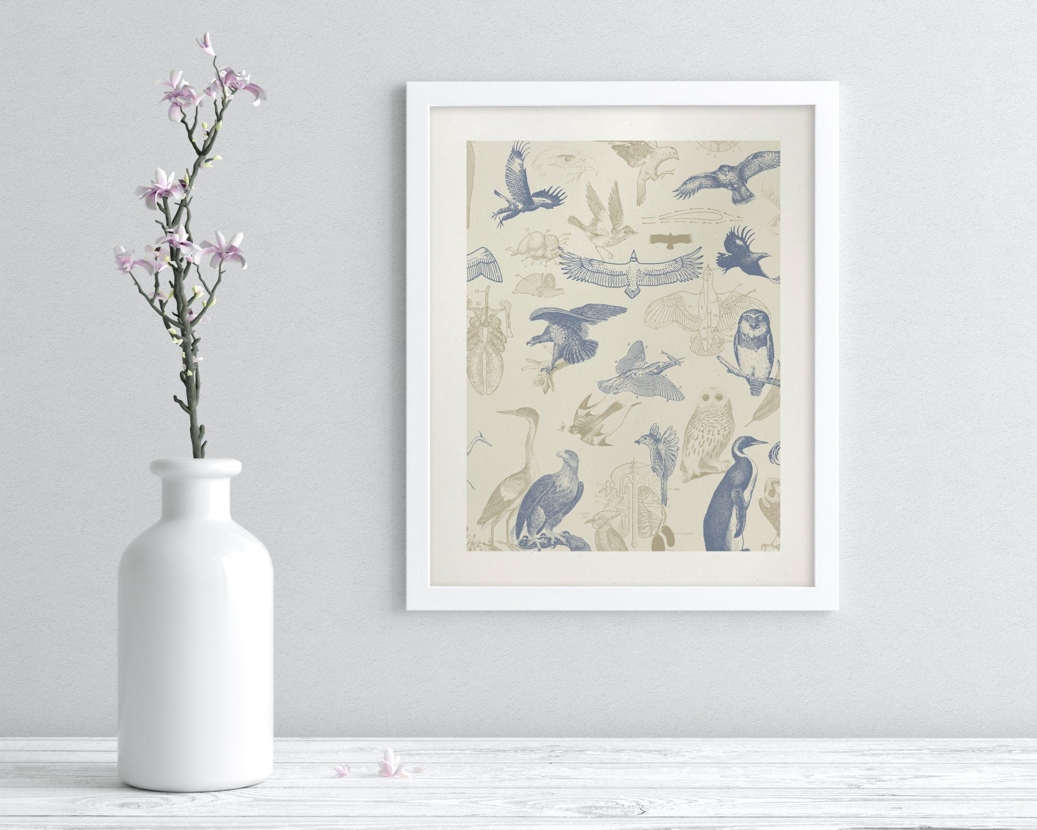Birds of Prey Scientific Illustration Museum Print - Image 3