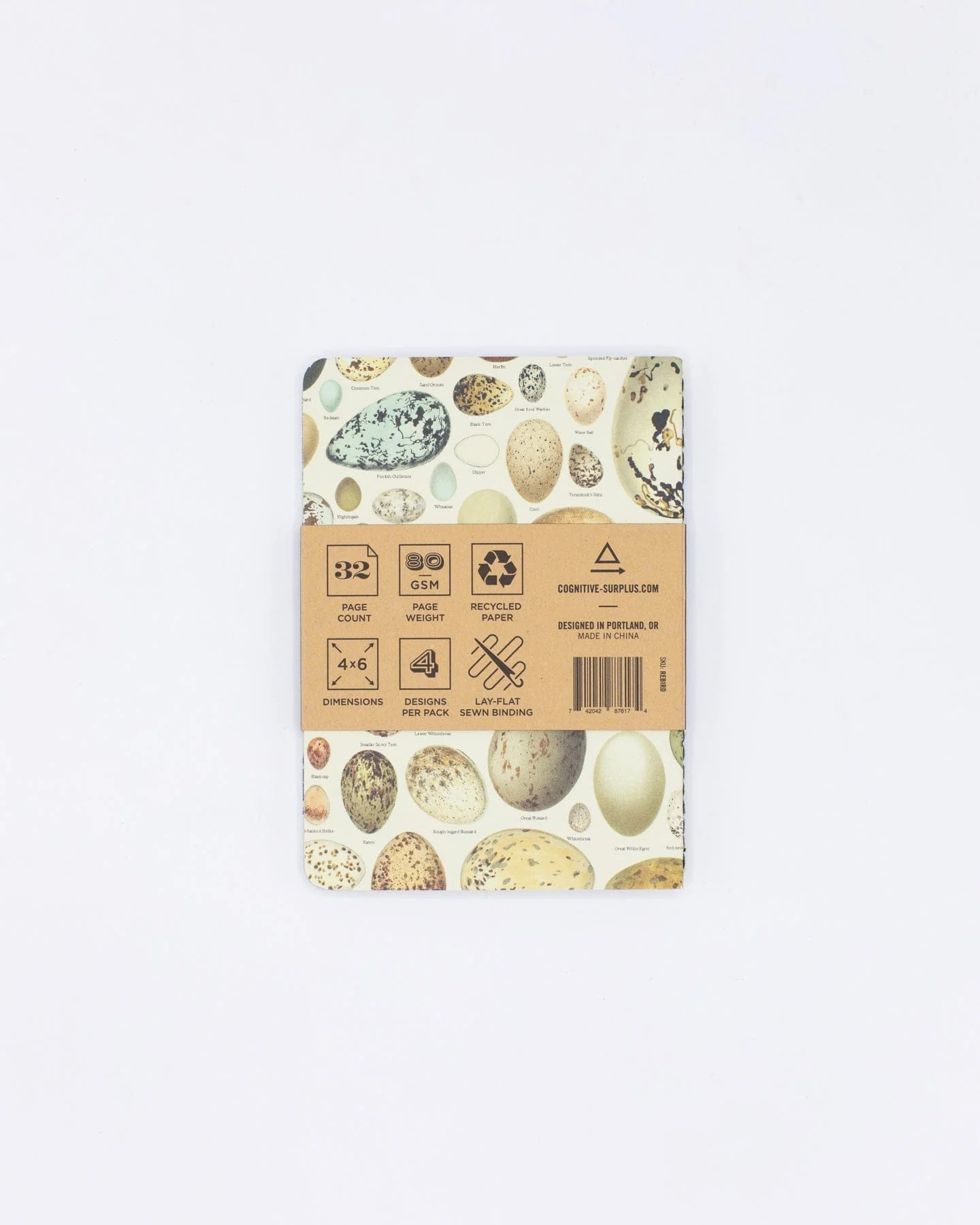 Birds: Ornithology Pocket Notebook 4-pack - Image 3