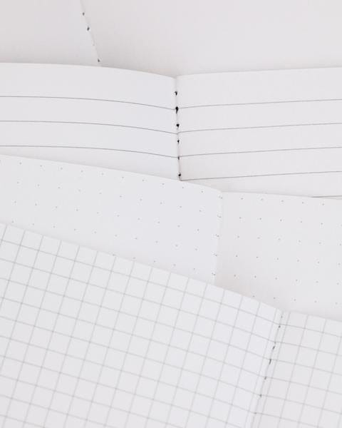 Birds: Ornithology Pocket Notebook 4-pack - Image 5