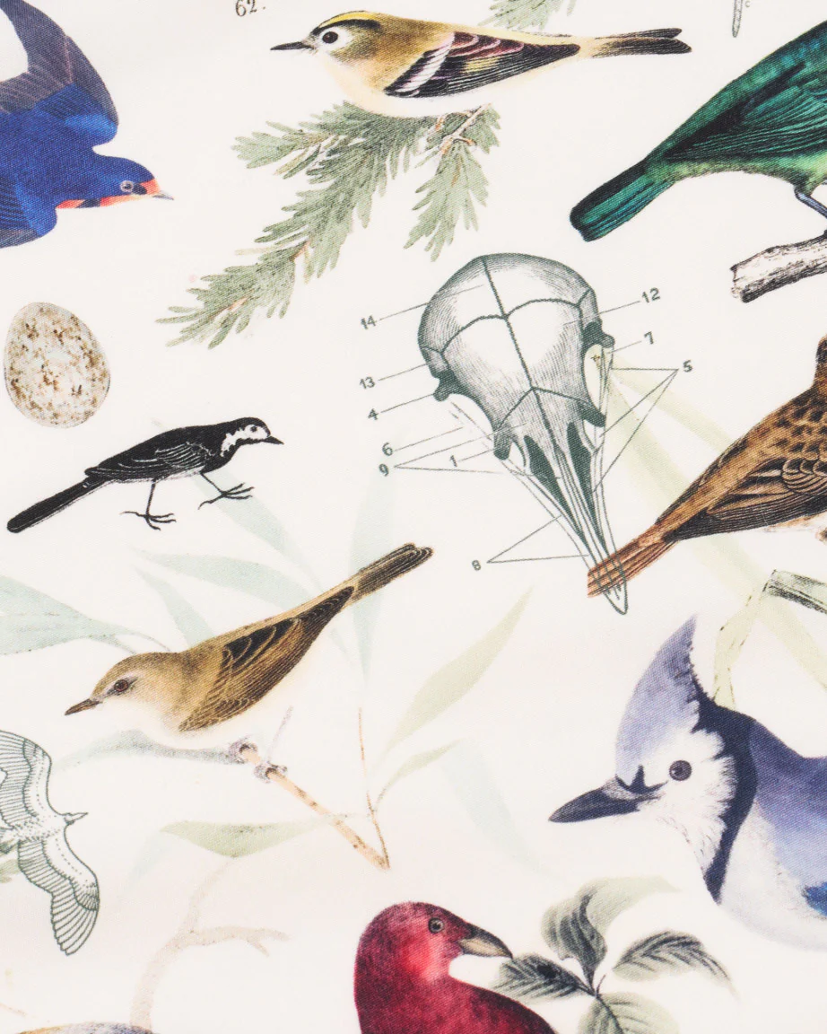 Birds Eco Pet Bandana - Image 2
