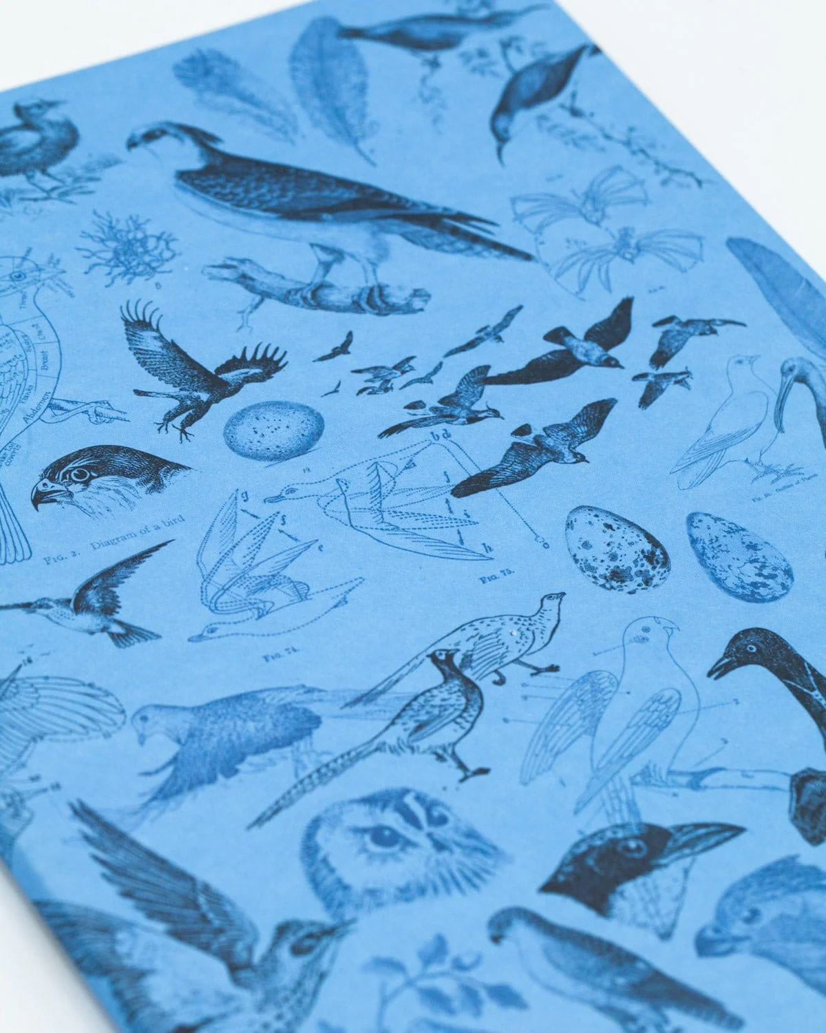 Birds Softcover Notebook - Lined - Image 5