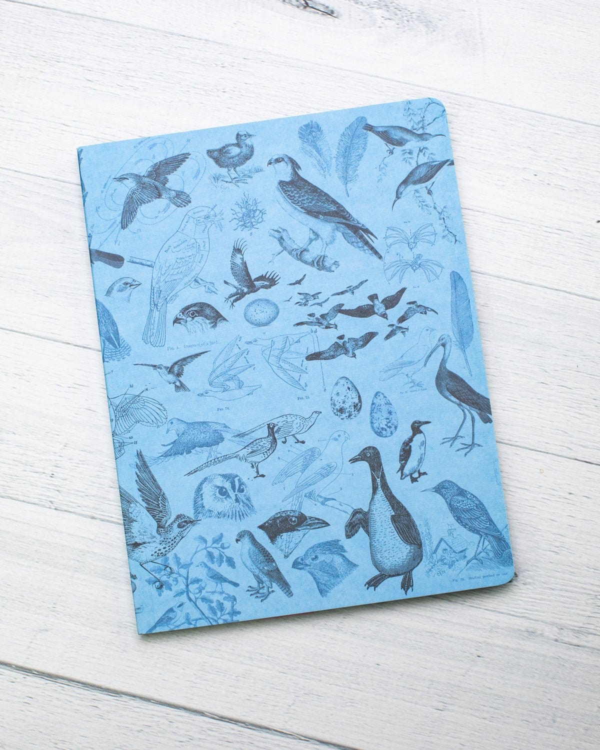 Birds Softcover Notebook - Lined - Image 6