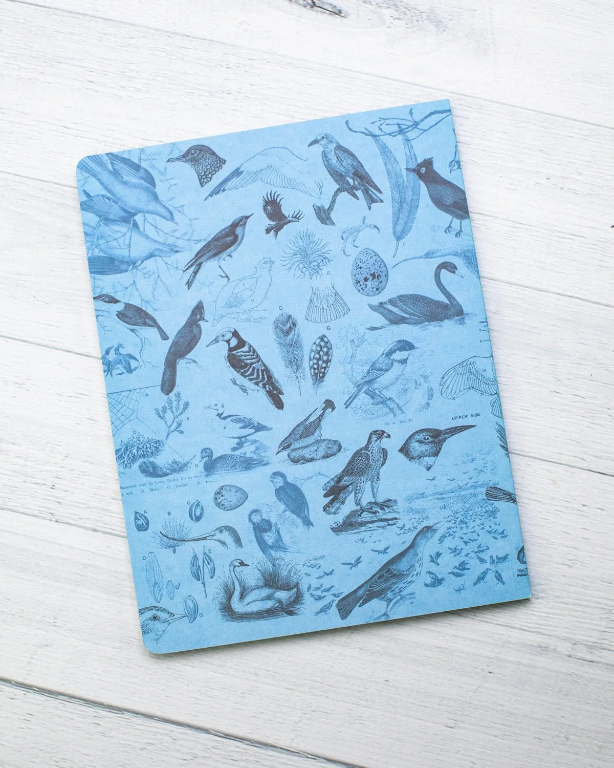 Birds Softcover Notebook - Lined - Image 7