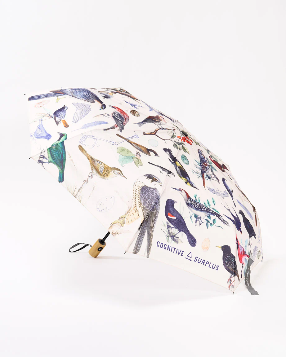 Birds Umbrella