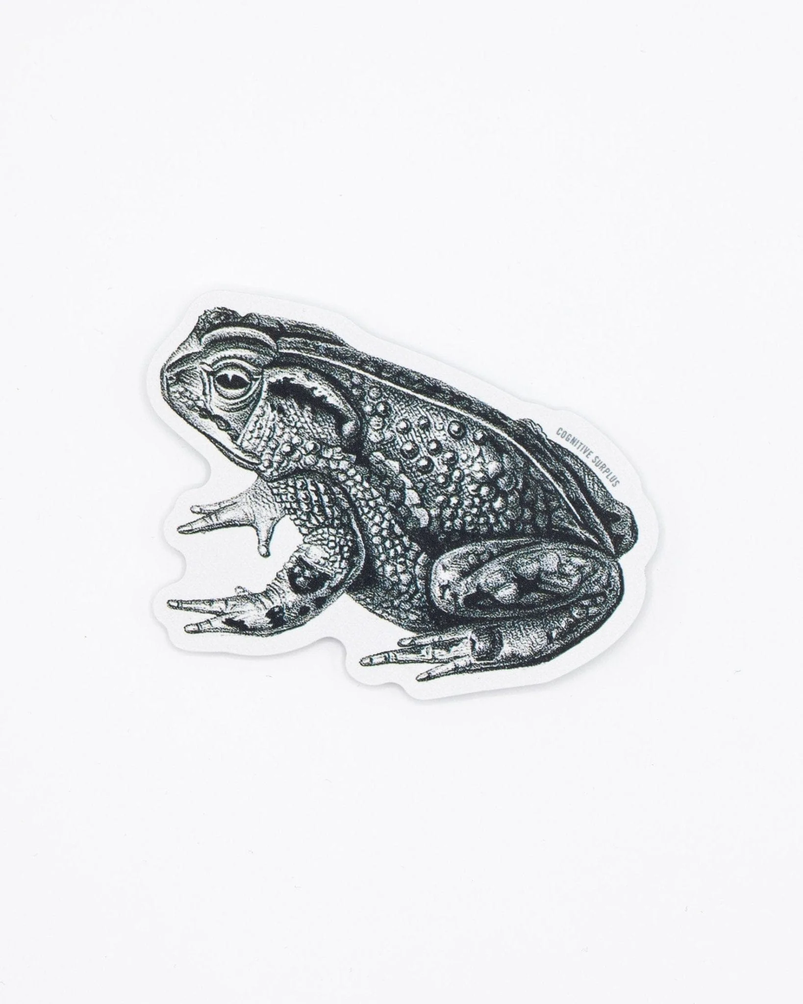 Bocourt's Toad Sticker - Image 2