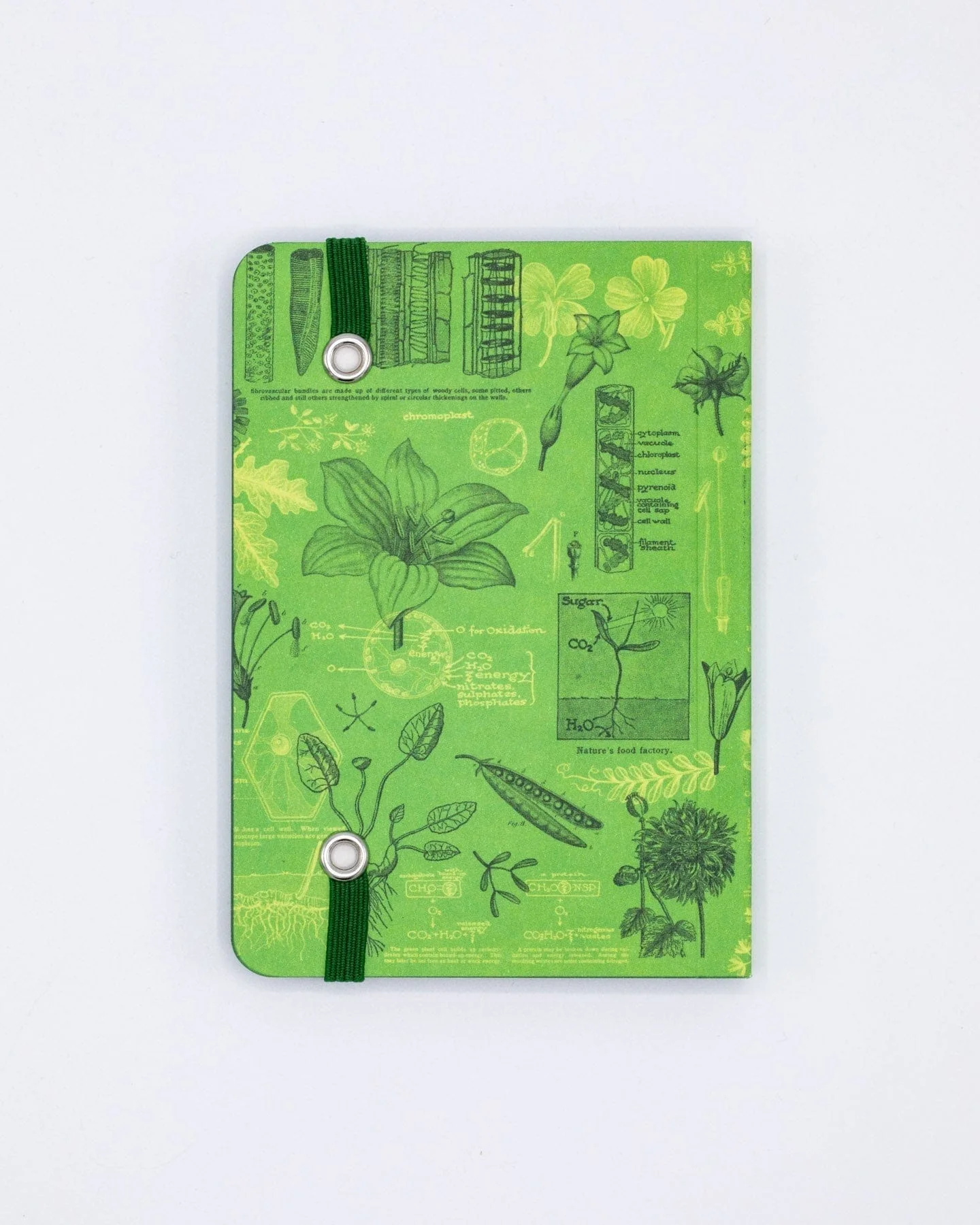 Botanical Reverie Observation Softcover - Image 3
