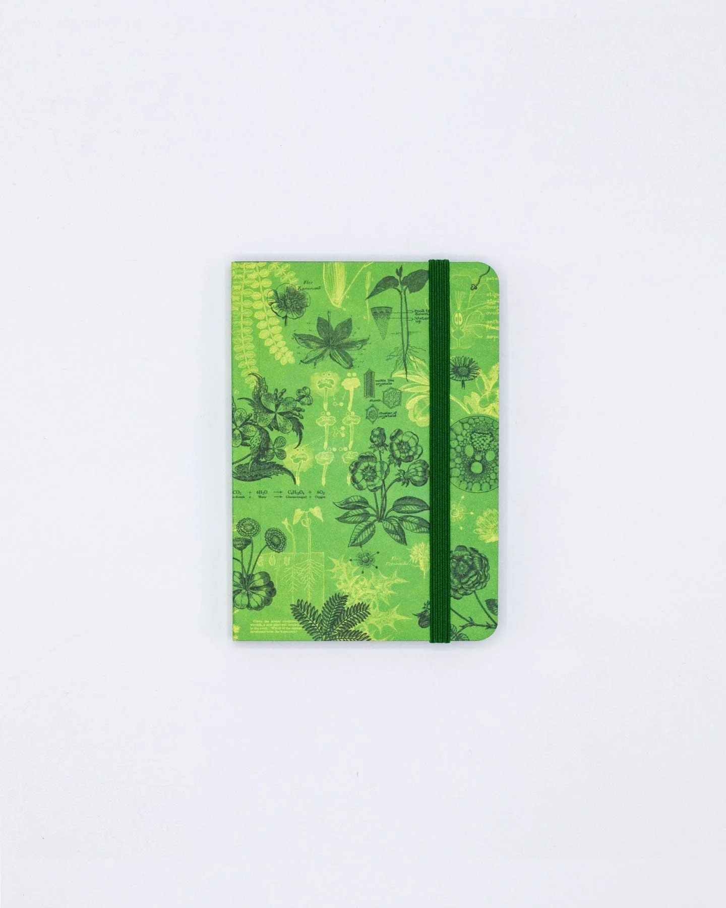 Botanical Reverie Observation Softcover - Image 4
