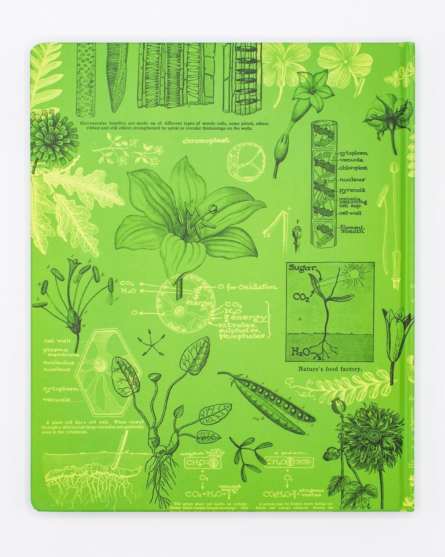 Botany & Plant Science Lab Notebook - Image 2