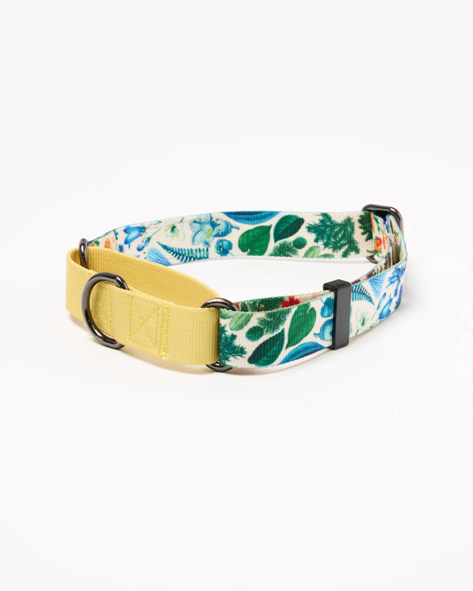 Botany Eco Martingale Collar - Image 3