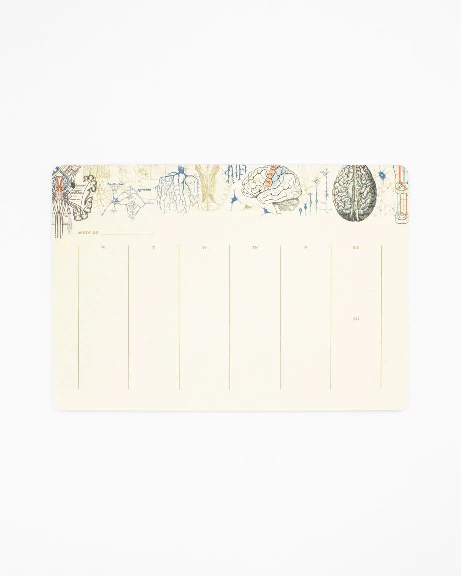 Brain Science Notepads - Image 2