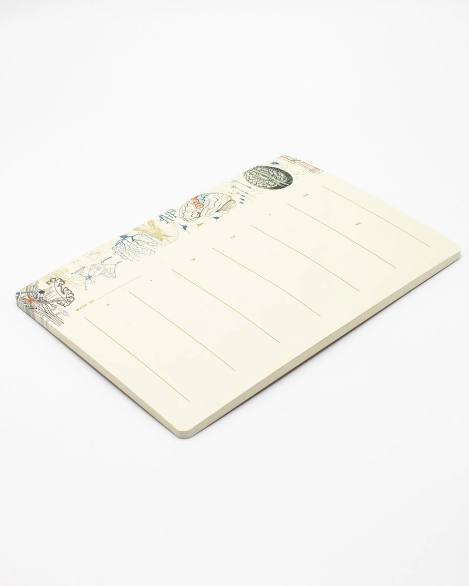 Brain Science Notepads - Image 3