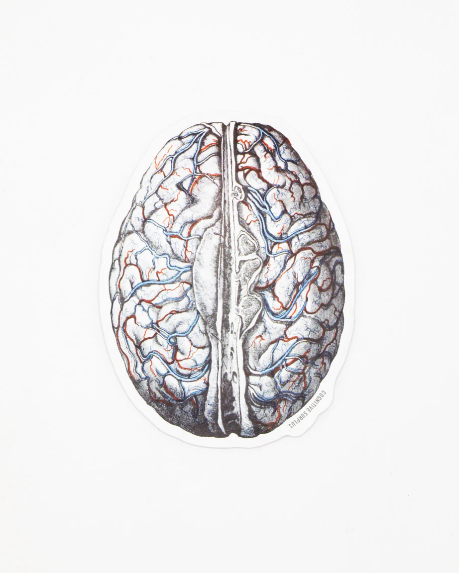 Brain Blood Flow Sticker - Image 2