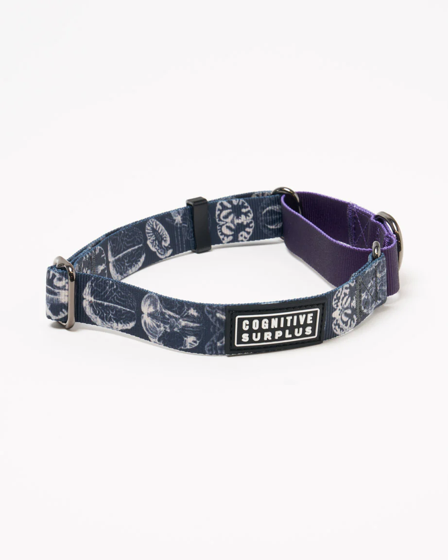 Brain Eco Martingale Collar
