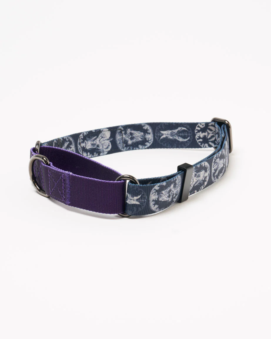 Brain Eco Martingale Collar - Image 3