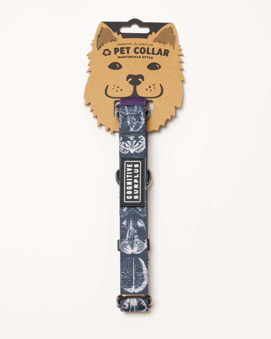 Brain Eco Martingale Collar - Image 4