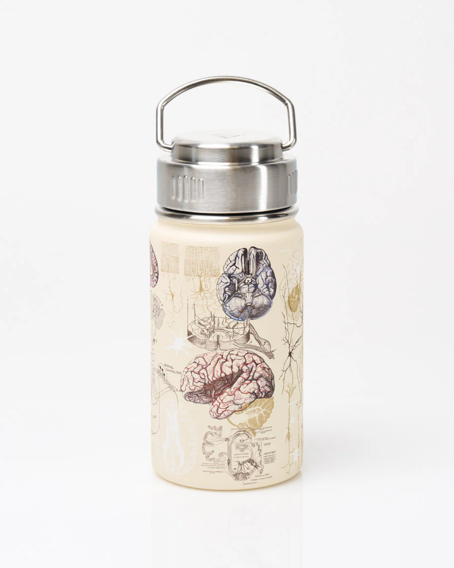 Brain & Neuroscience 12 oz Steel Bottle - Image 2