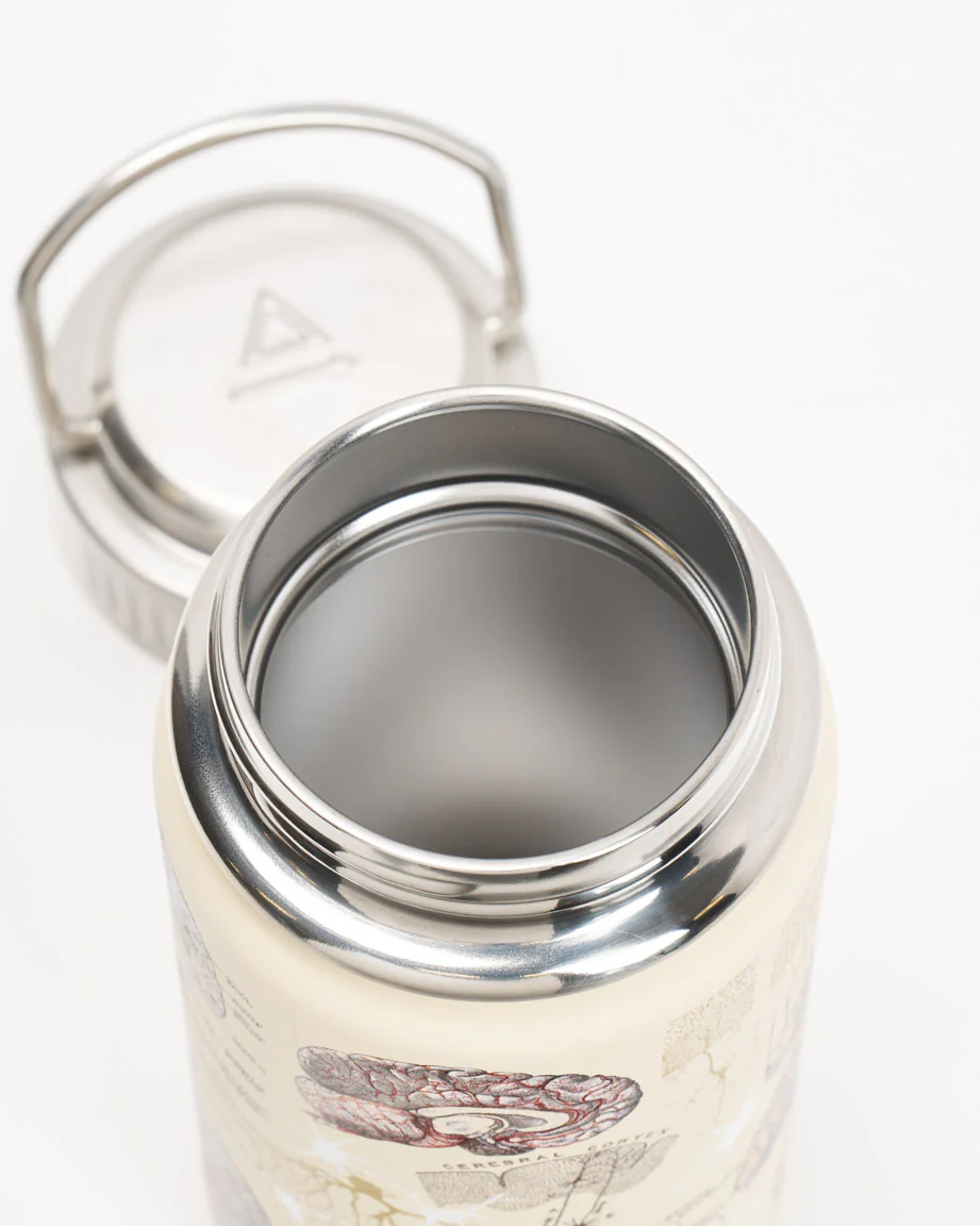 Brain & Neuroscience 12 oz Steel Bottle - Image 3