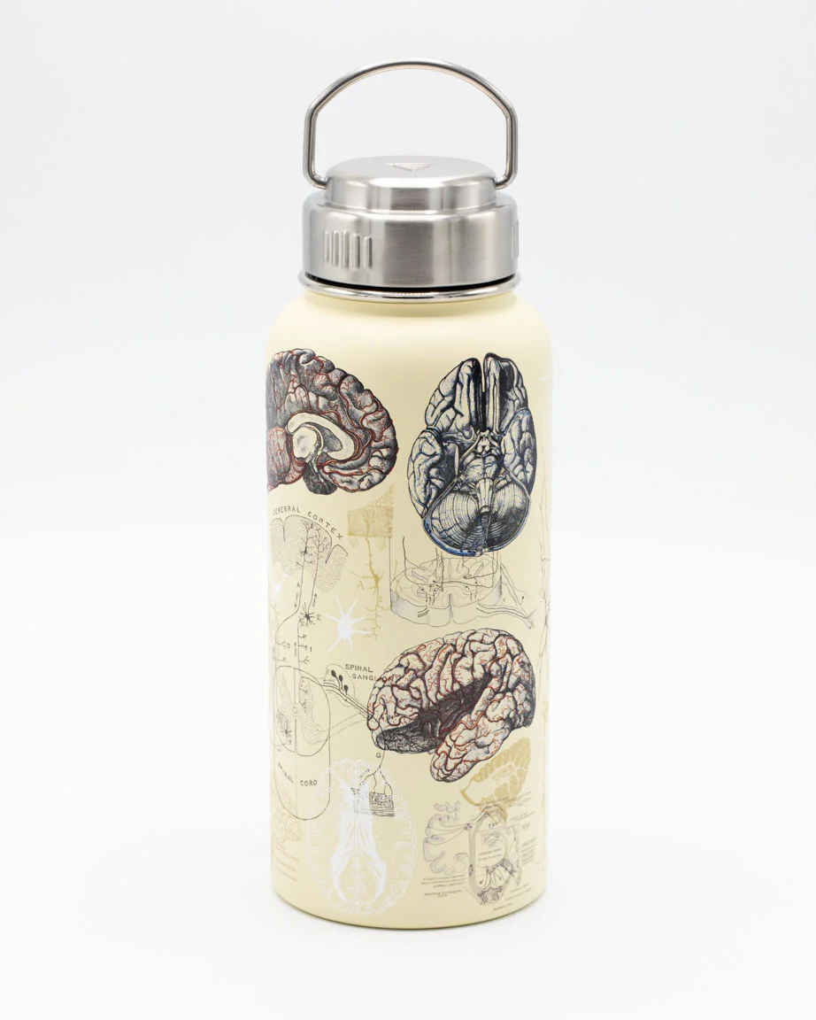 Brain & Neuroscience 32 oz Steel Bottle - Image 2