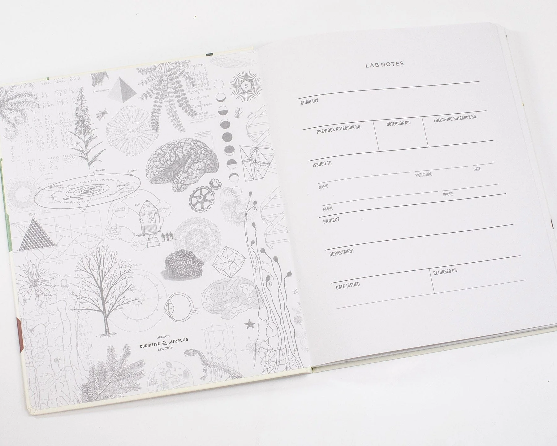 Brain & Neuroscience Lab Notebook - Image 3