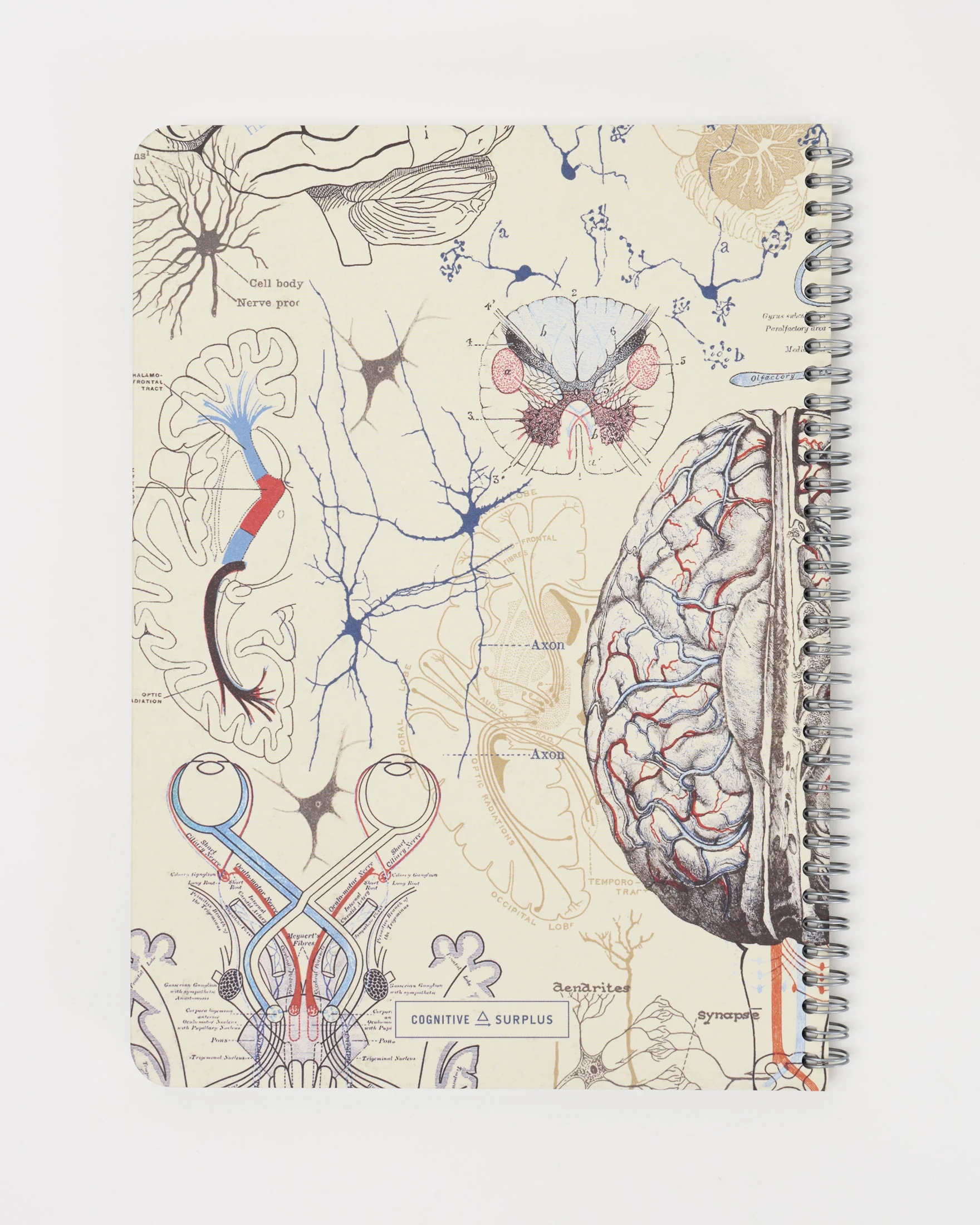 Brain & Neuroscience Spiral Notebook - Image 2
