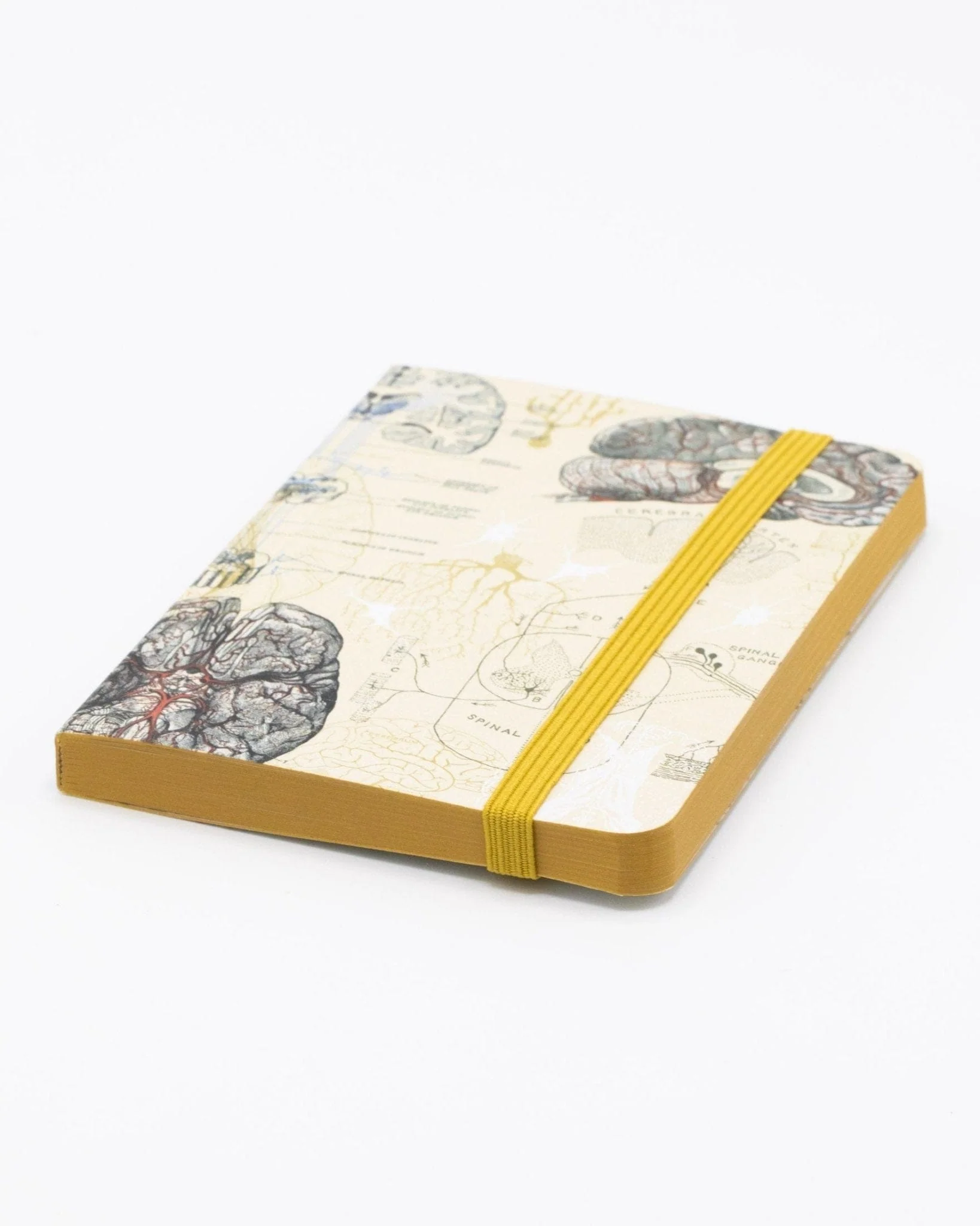 Brain Observation Softcover - Image 2