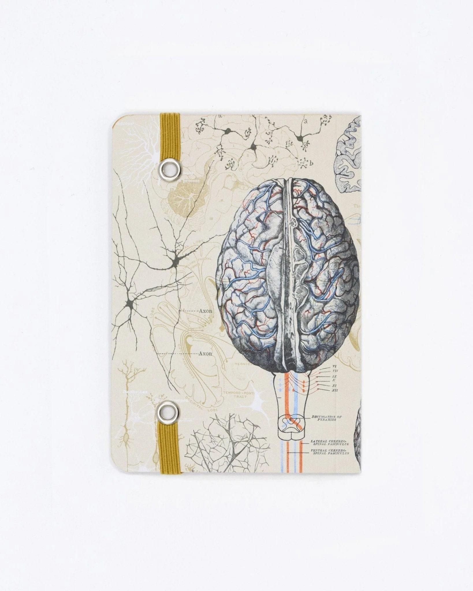 Brain Observation Softcover - Image 3