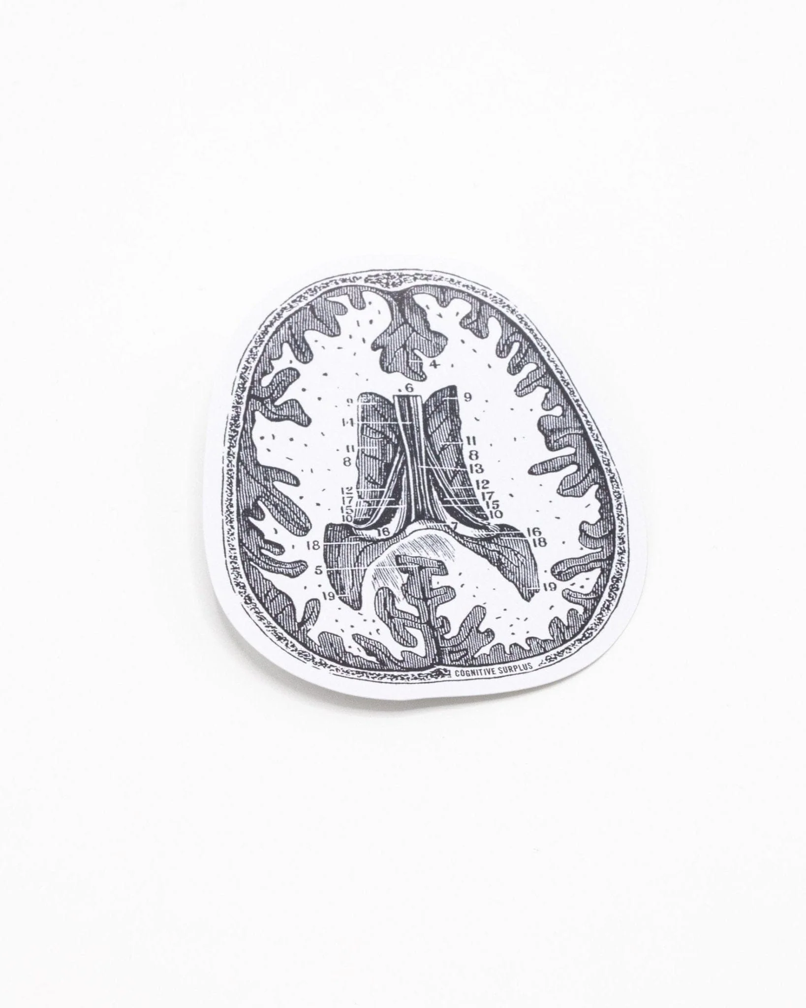 Brain Scan Sticker