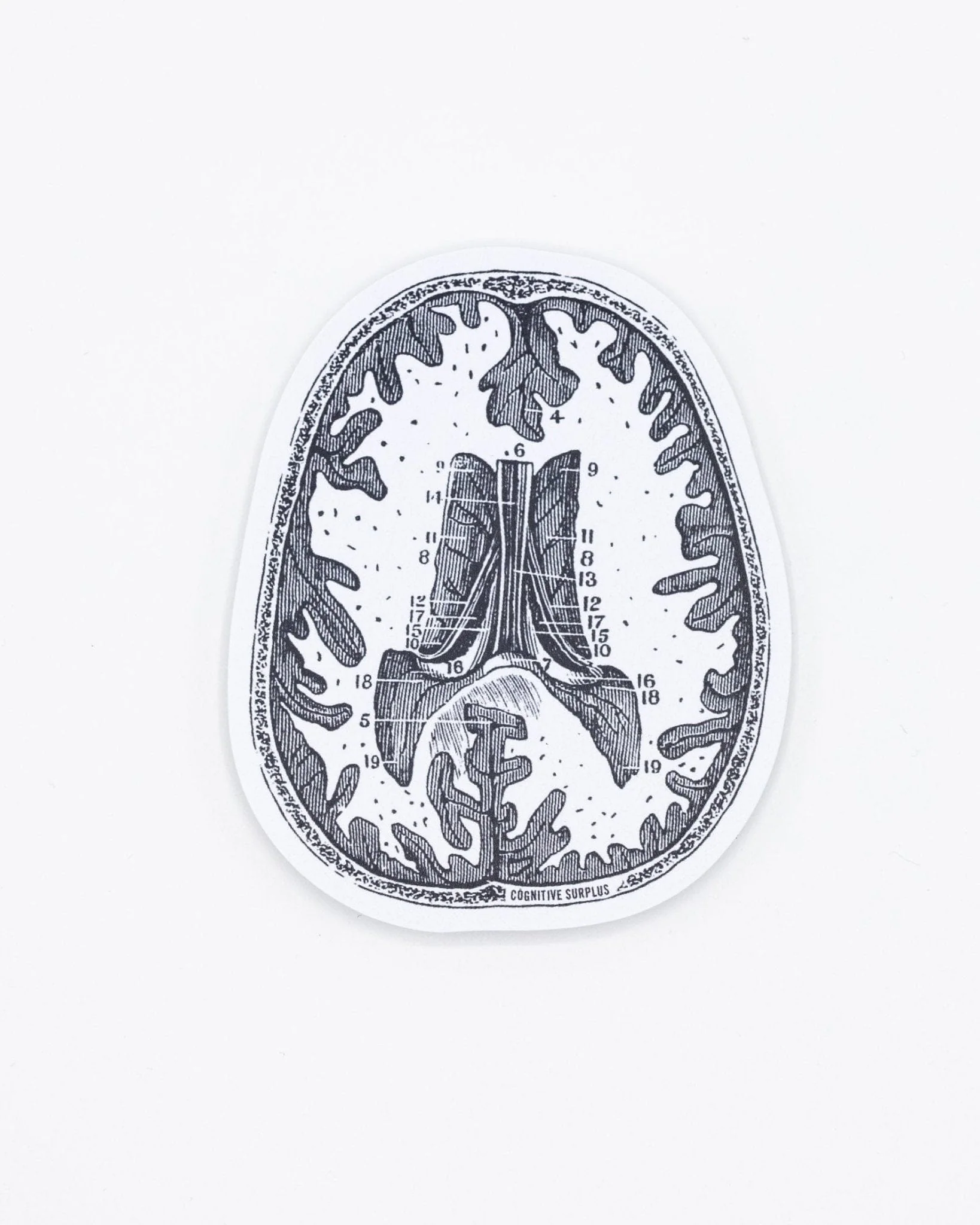 Brain Scan Sticker - Image 2