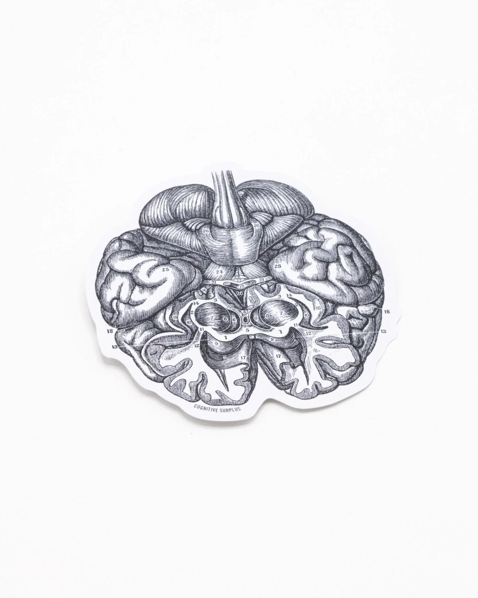 Brain Sticker