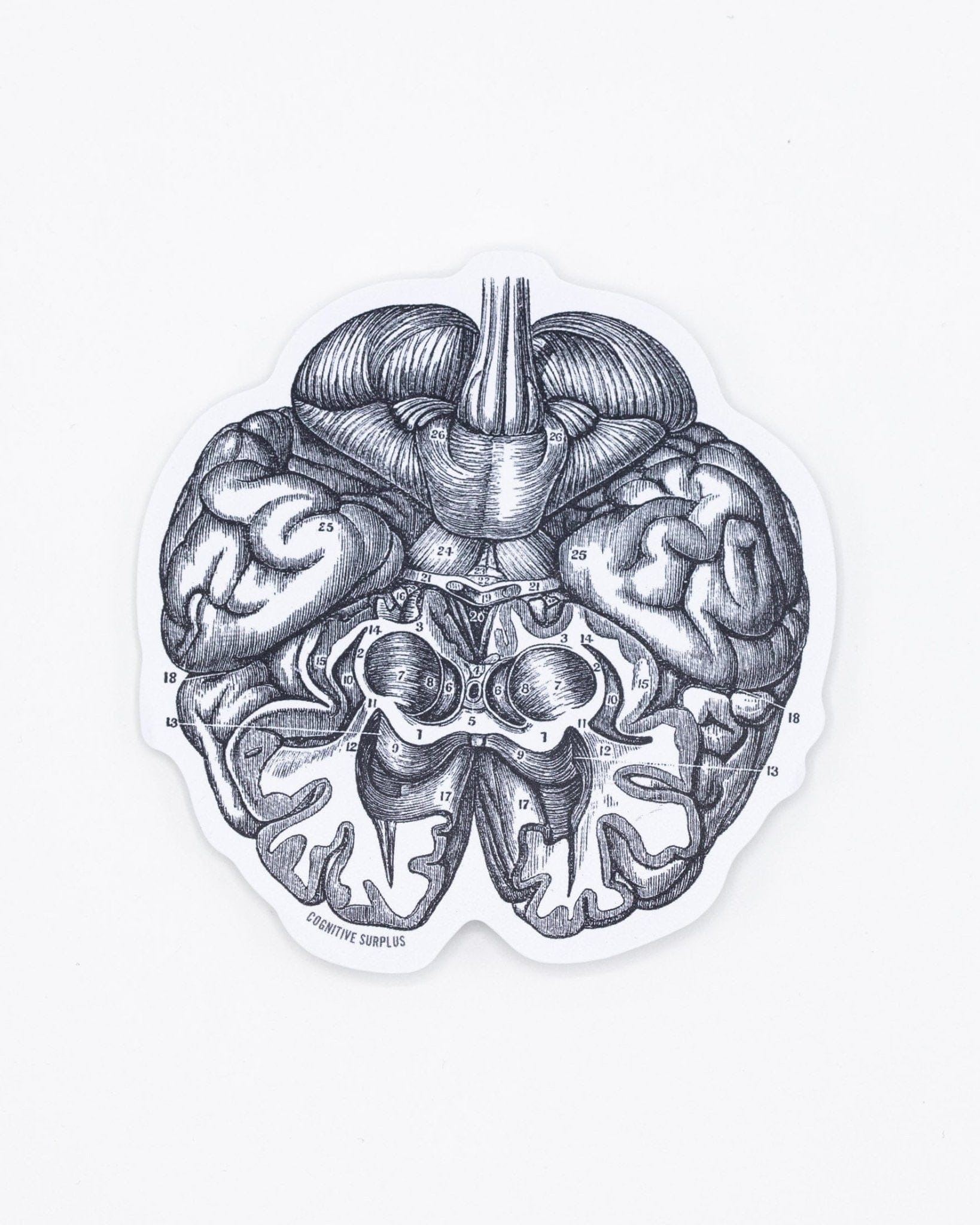 Brain Sticker - Image 2