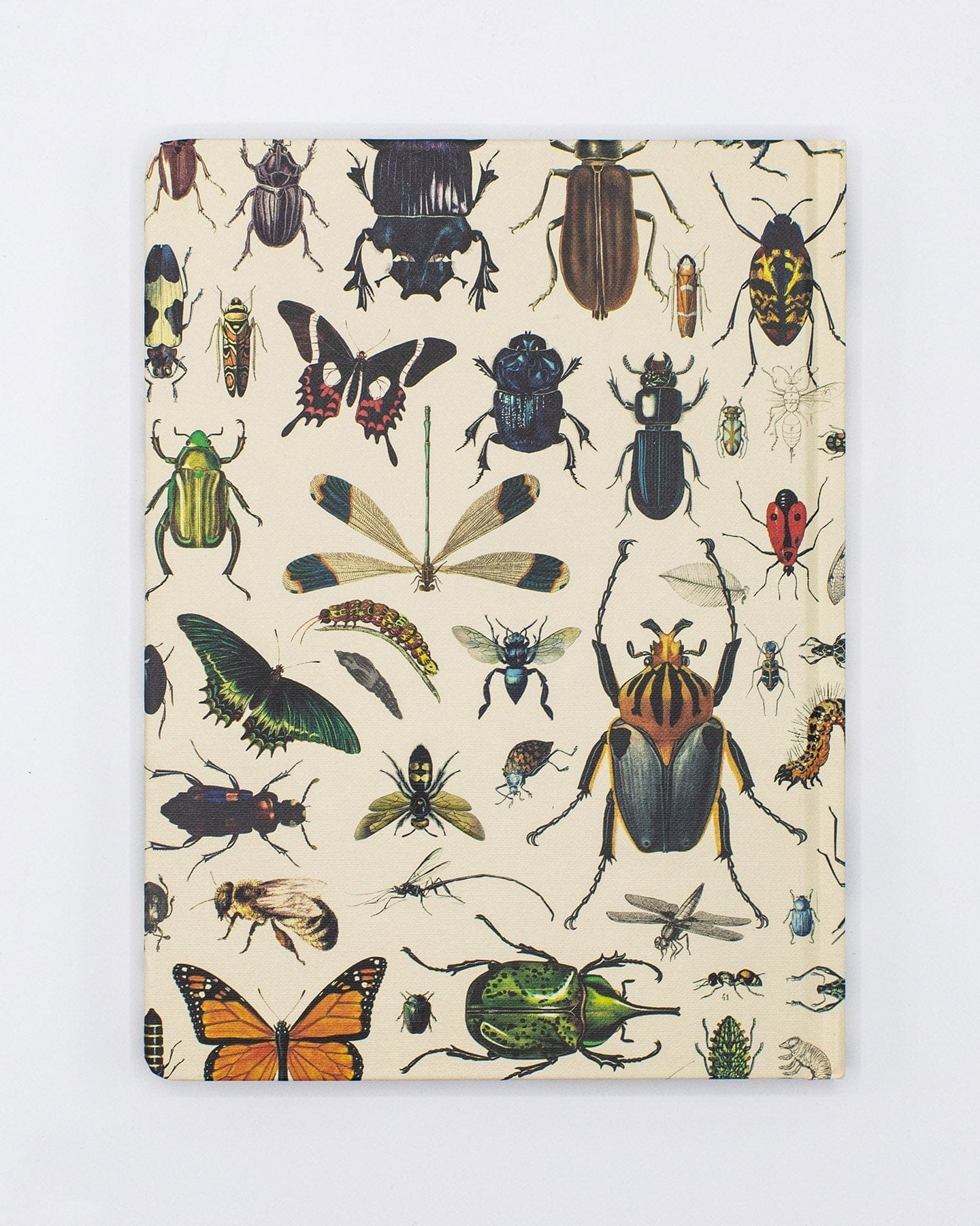 Butterflies & Beetles Hardcover - Blank - Image 2