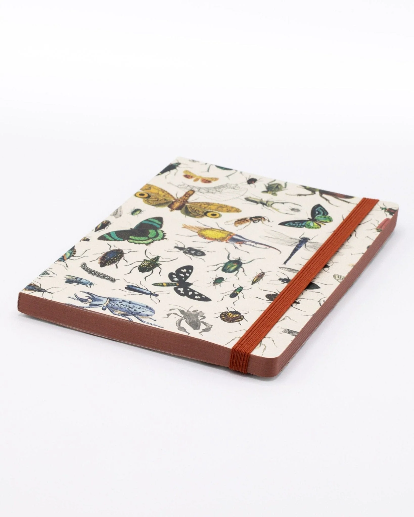 Butterflies & Beetles A5 Softcover Notebook - Image 2
