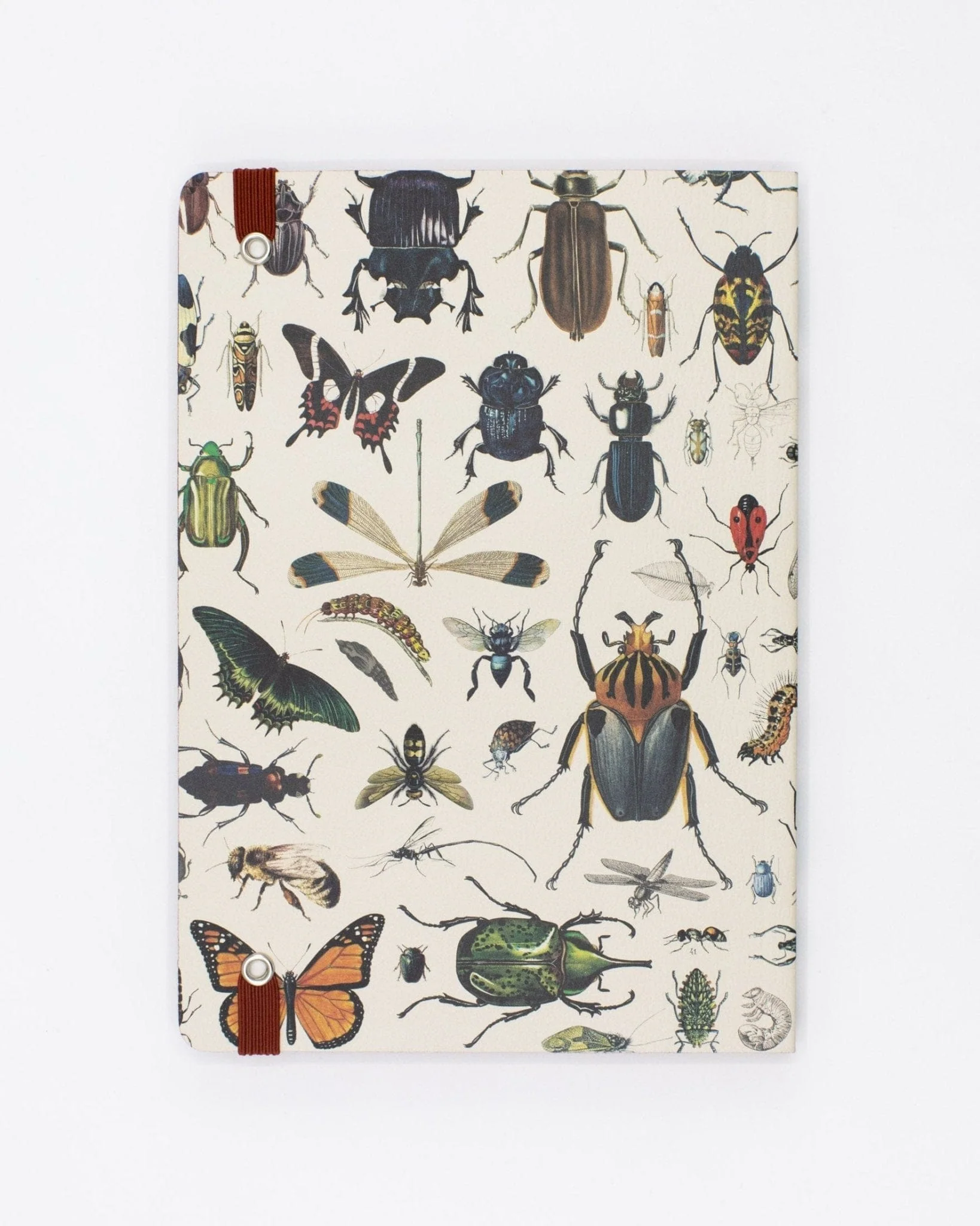 Butterflies & Beetles A5 Softcover Notebook - Image 3