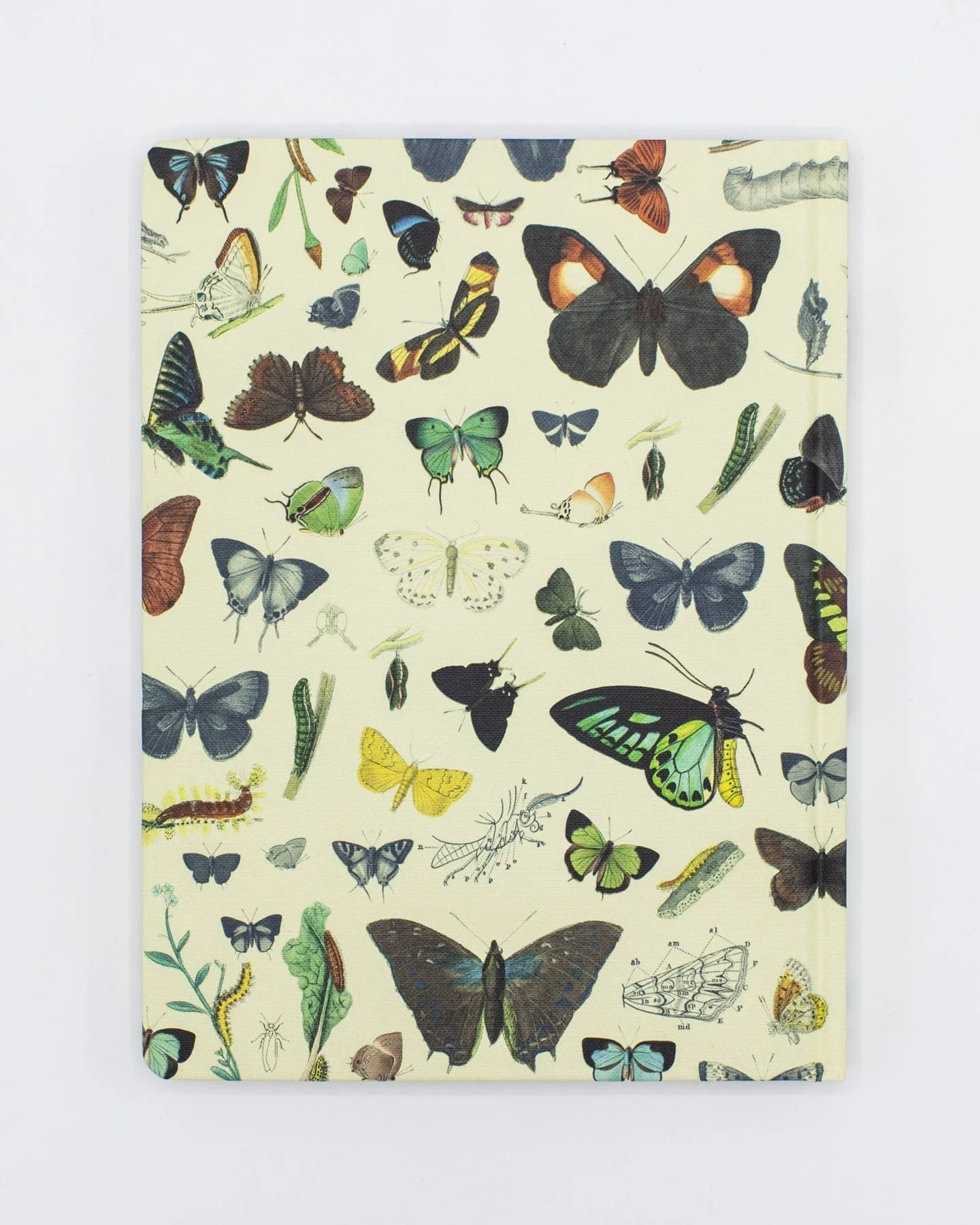 Butterflies Hardcover Notebook - Lined/Grid - Image 2
