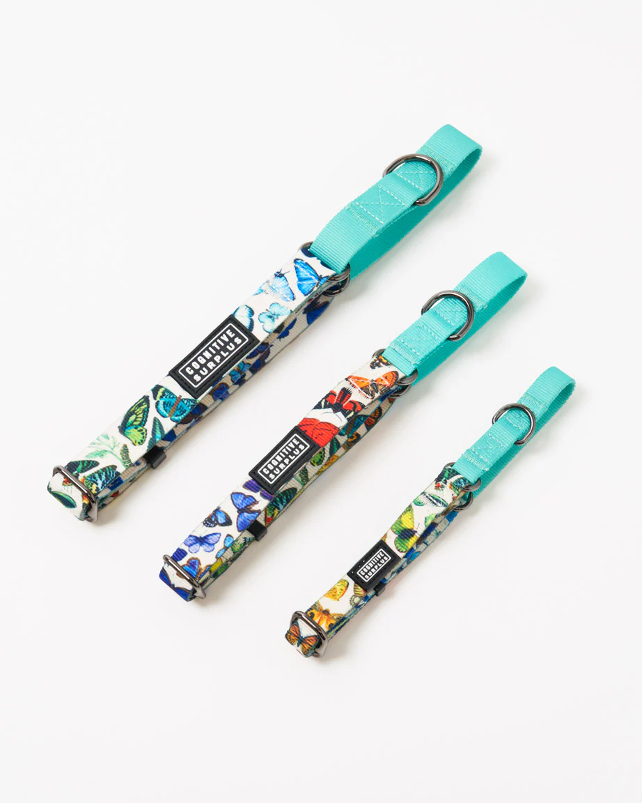 Butterfly Garden Eco Martingale Collar - Image 2