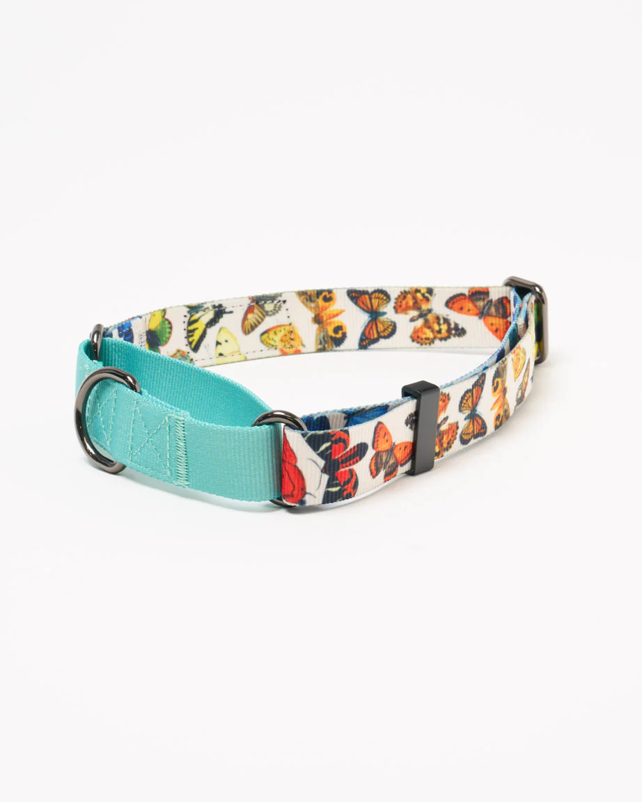 Butterfly Garden Eco Martingale Collar - Image 3
