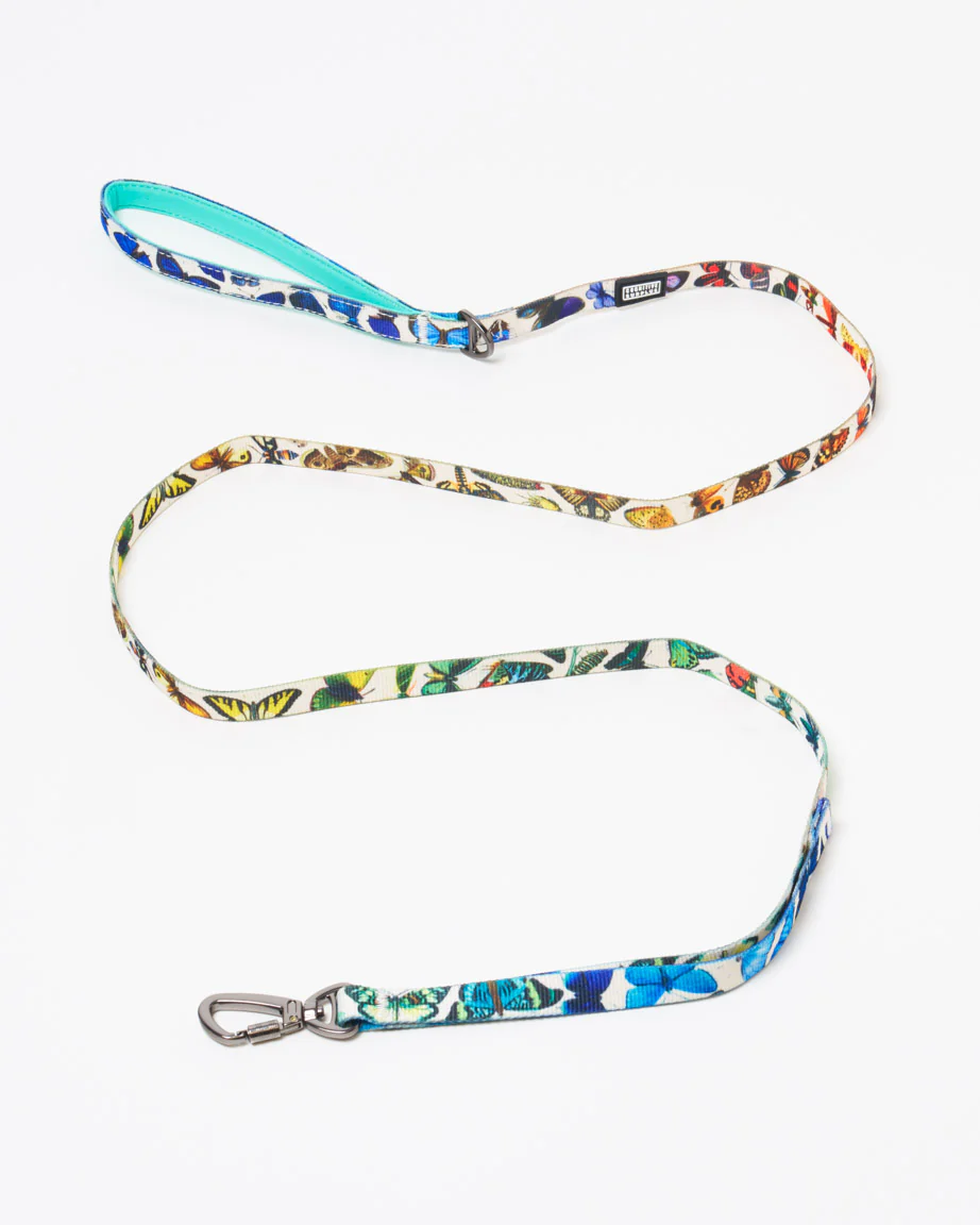 Butterfly Garden Eco Pet Leash - Image 4