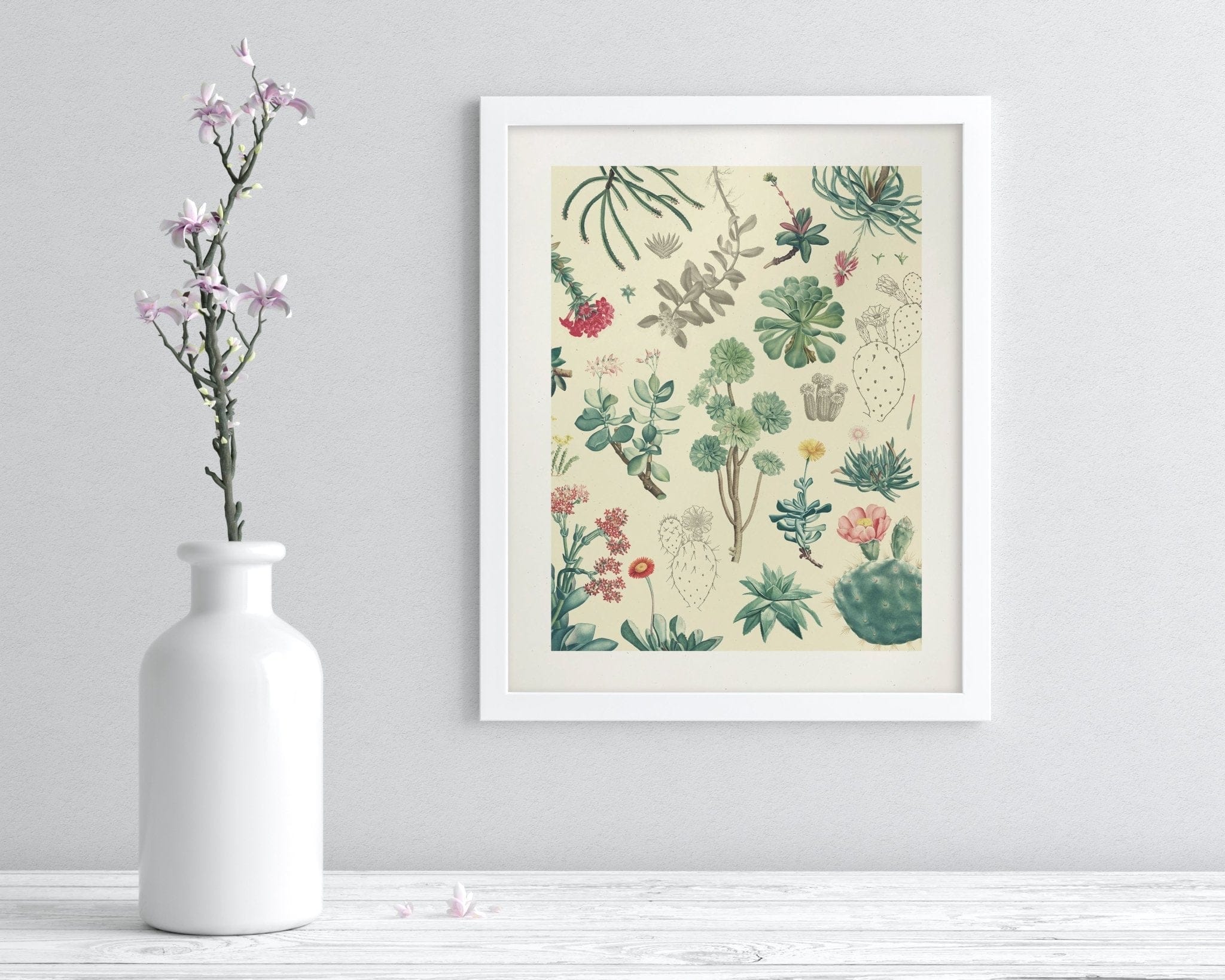 Cactus Scientific Illustration Museum Print - Image 4