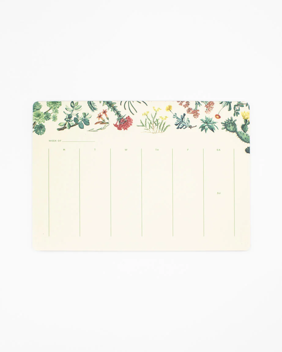 Cactus Notepads - Image 2