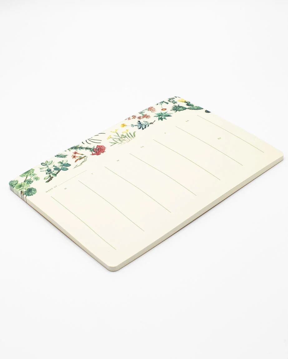 Cactus Notepads - Image 3