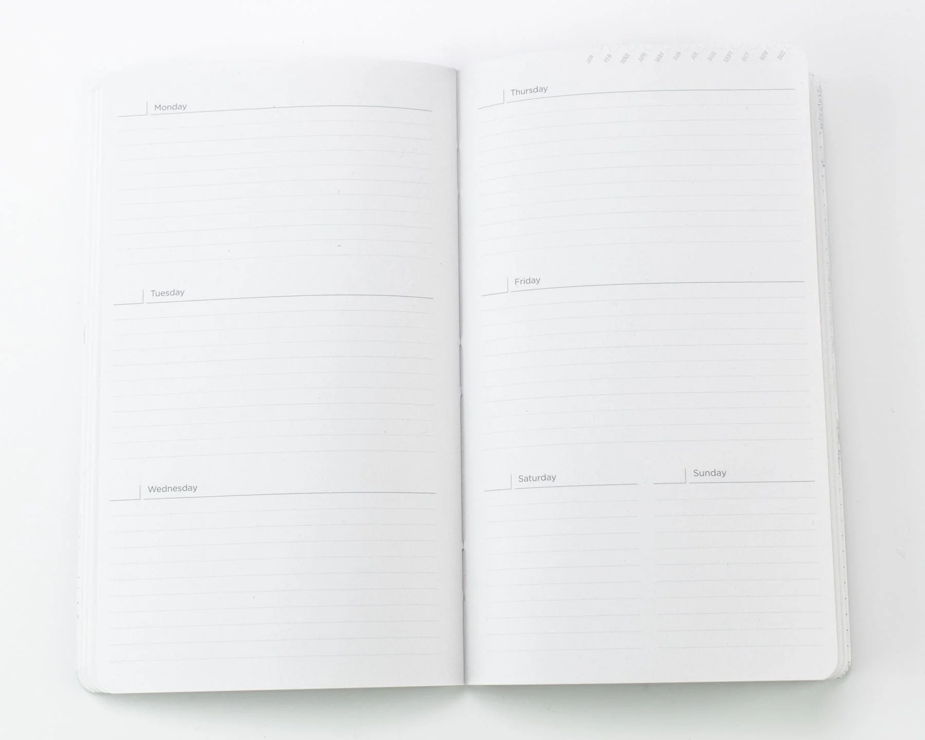 Succulents Yearly Planner - Image 3