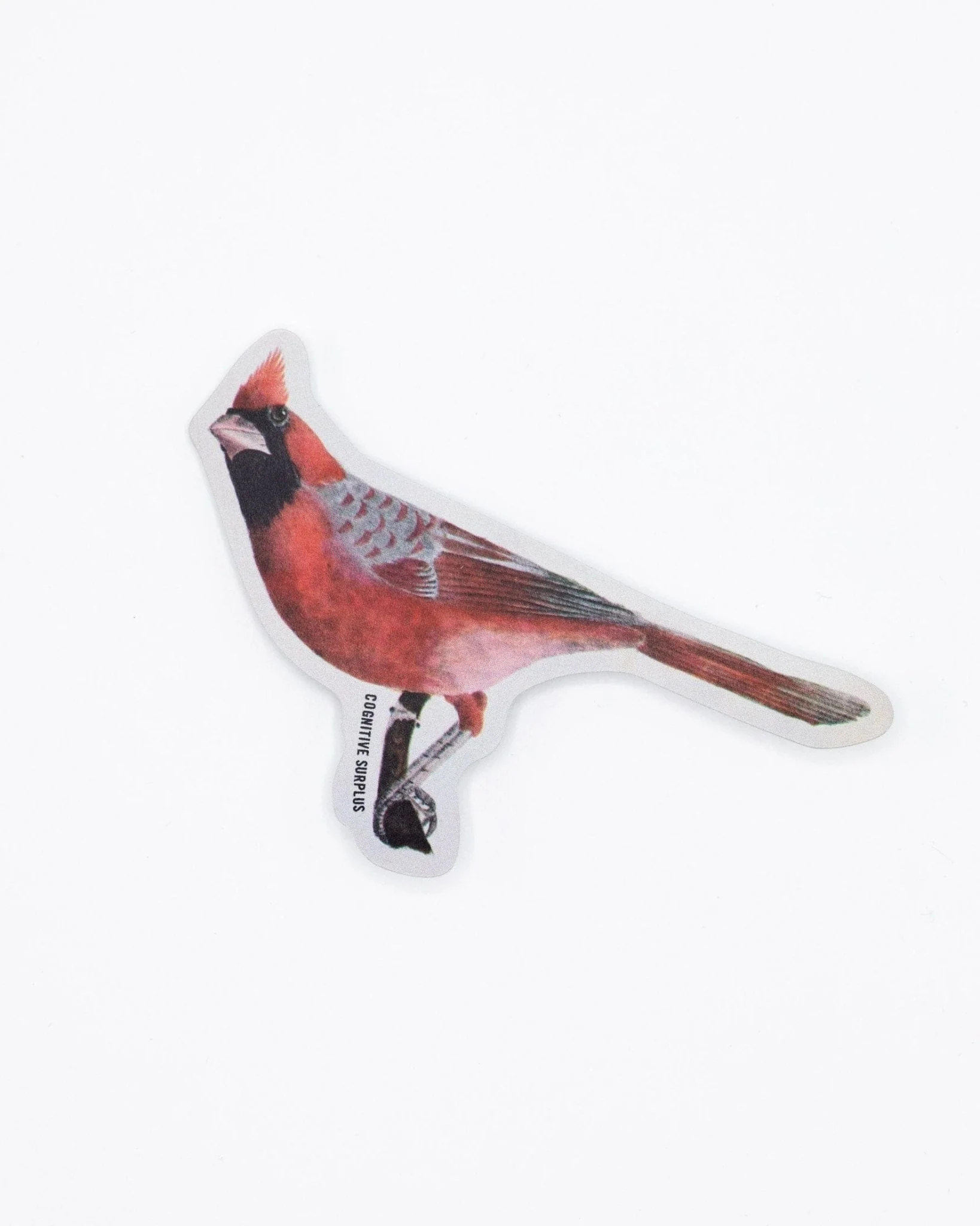Cardinal Bird Sticker - Image 2