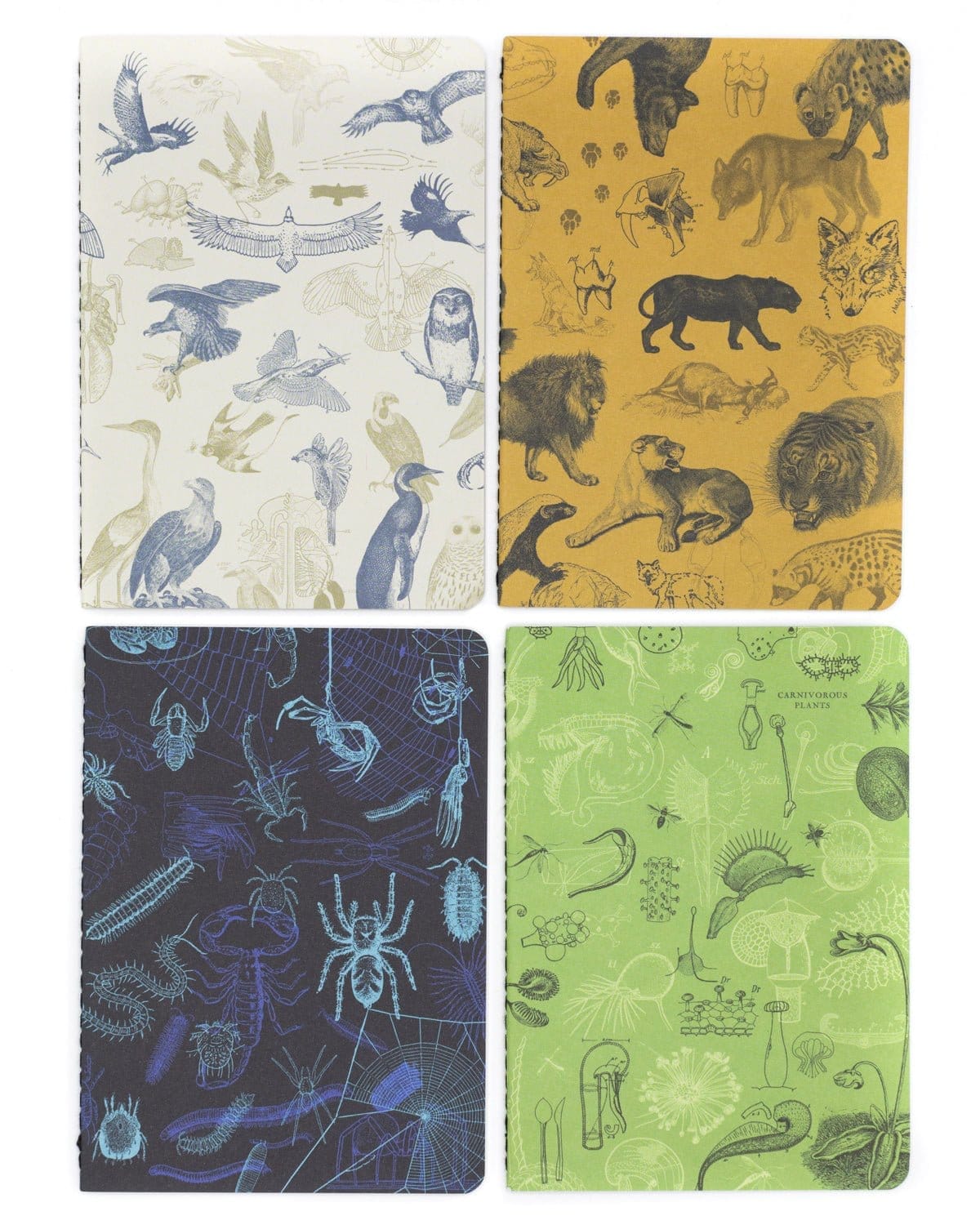 Carnivores Pocket Notebook 4-pack - Image 5